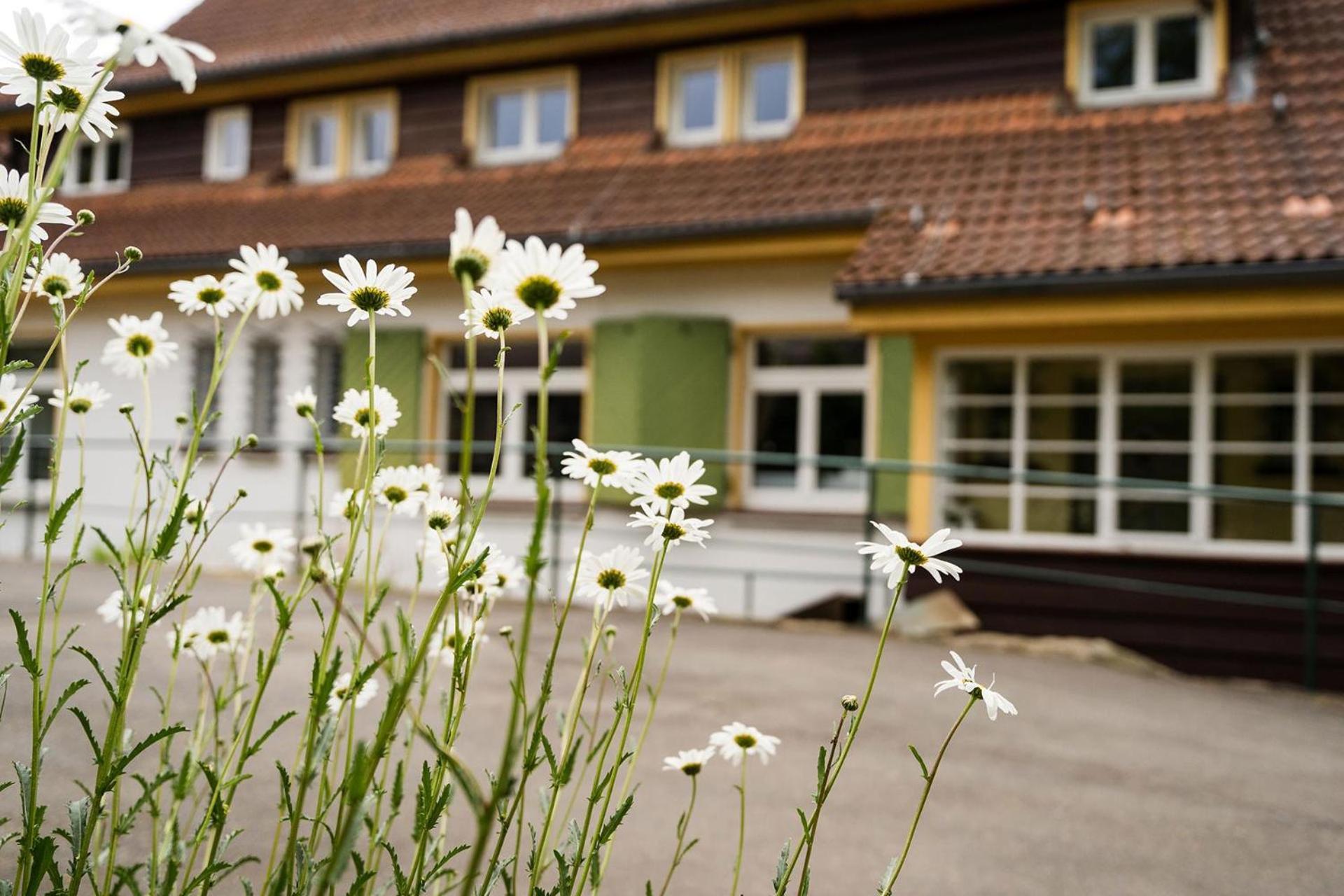 Pension Zum Hexenstieg Schierke Extérieur photo