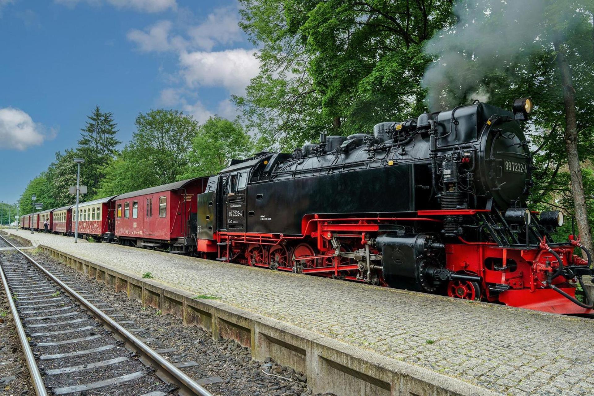 Pension Zum Hexenstieg Schierke Extérieur photo